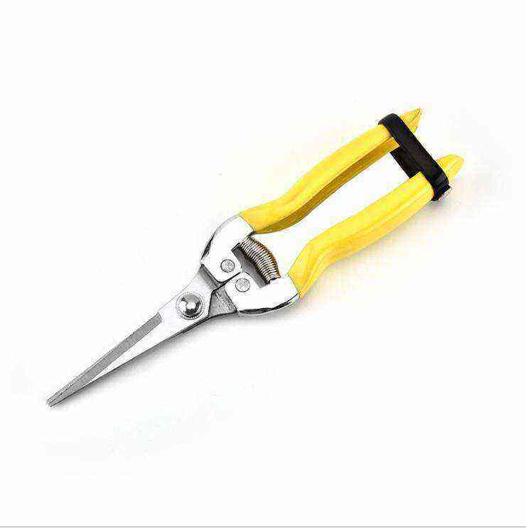 Manufacturers wholesale Fruit and vegetable tools Pruning Garden Shears Flowers Scissors